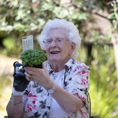 The Therapeutic Benefits of Gardening